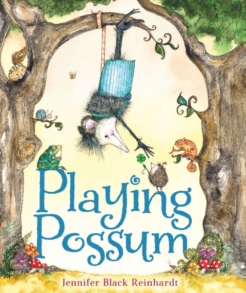 Cover image for book Playing Possum