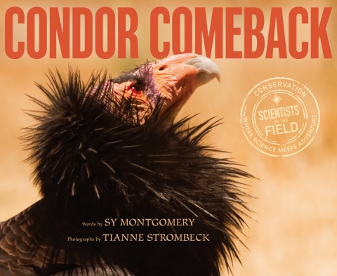Cover image for book Condor Comeback