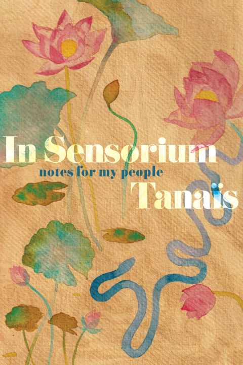 Cover image for book In Sensorium