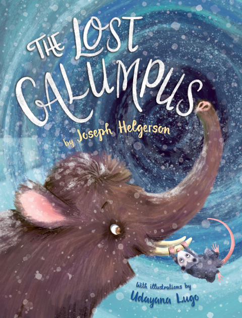 Cover image for book The Lost Galumpus