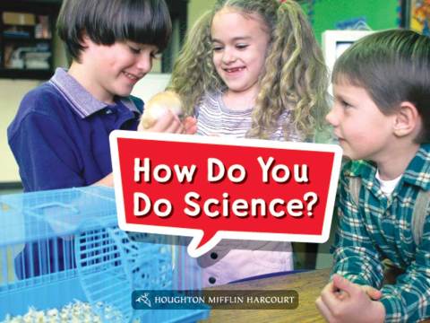 Cover image for book How Do You Do Science?