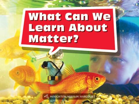 Cover image for book What Can We Learn About Matter?