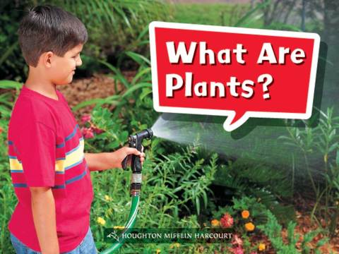 Cover image for book What Are Plants?