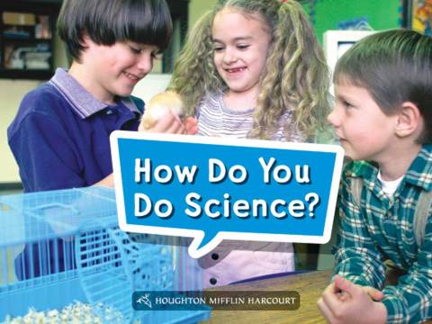 Cover image for book How Do You Do Science?