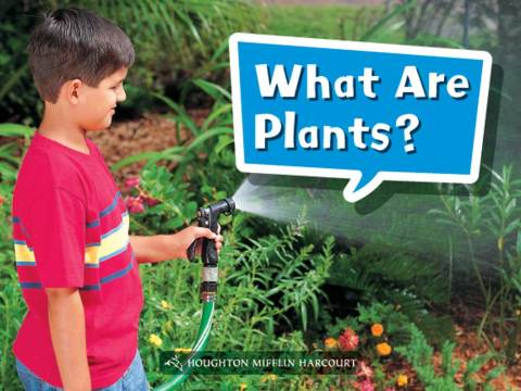 Cover image for book What Are Plants?