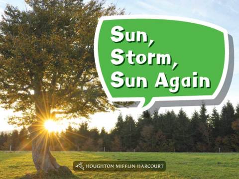 Cover image for book Sun, Storm, Sun Again
