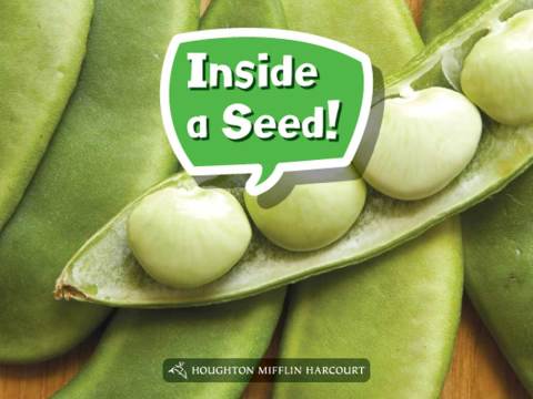 Cover image for book Inside a Seed!