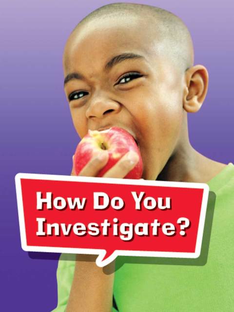 Cover image for book How Do You Conduct an Investigation?
