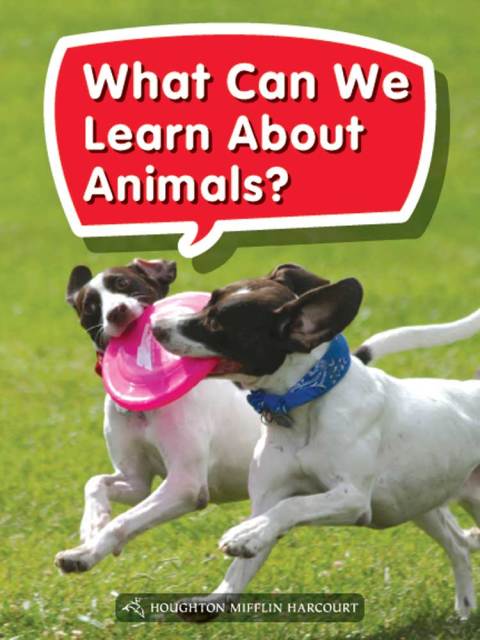 Cover image for book What Can We Learn About Animals?