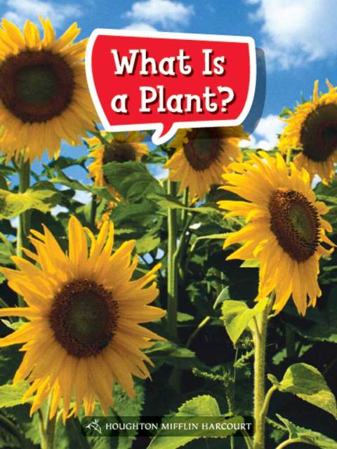 Cover image for book What Is a Plant?