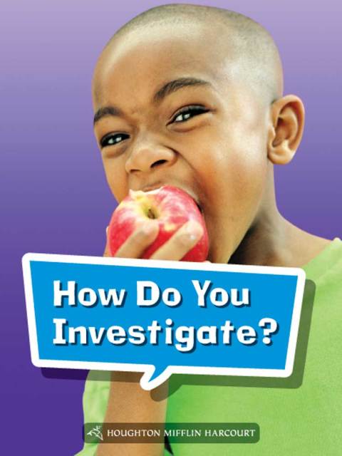 Cover image for book How Do You Conduct an Investigation?