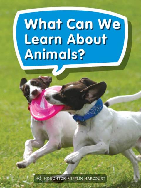 Cover image for book What Can We Learn About Animals?