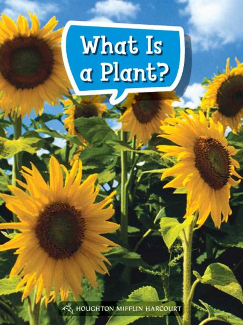 Cover image for book What Is a Plant?