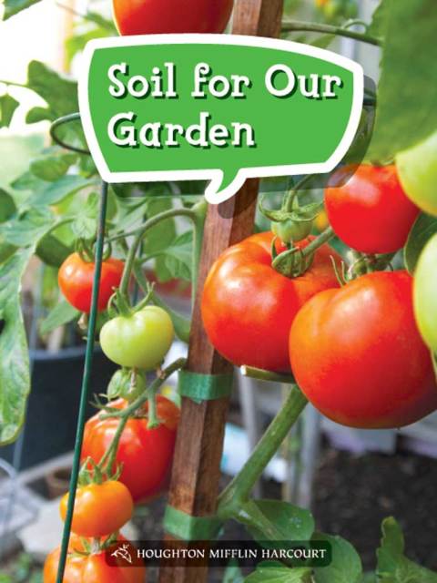 Cover image for book Soil for Our Garden