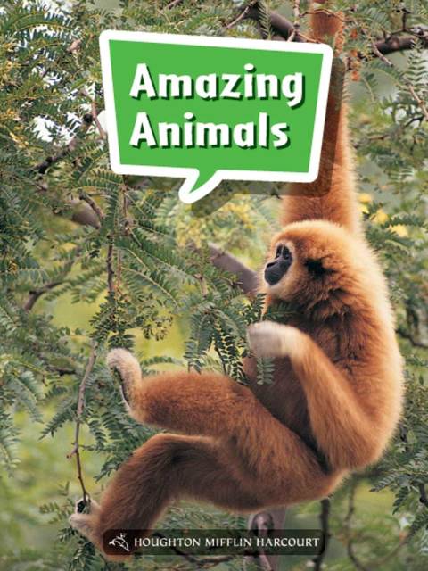 Cover image for book Amazing Animals