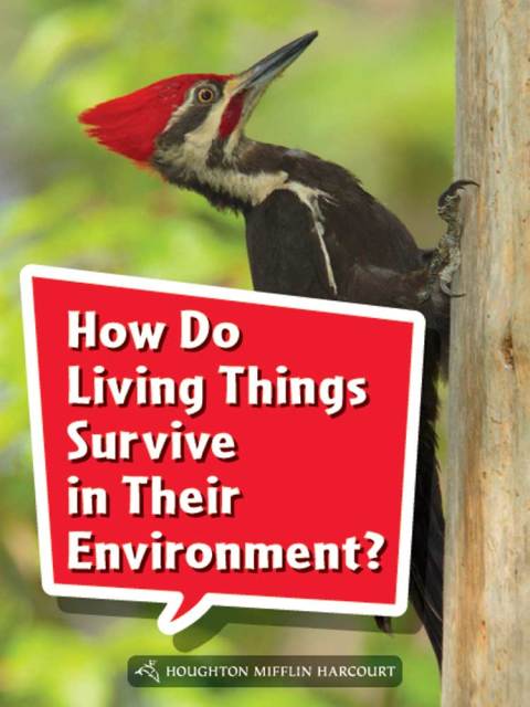 Cover image for book How Do Living Things Survive in Their Environment?