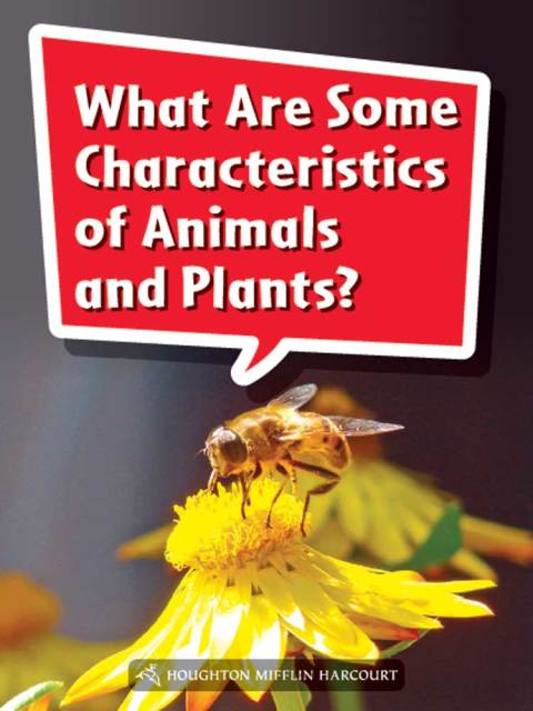 Cover image for book What Are Some Characteristics of Animals and Plants?