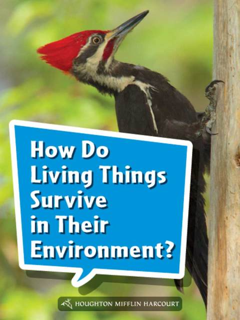 Cover image for book How Do Living Things Survive in Their Environment?
