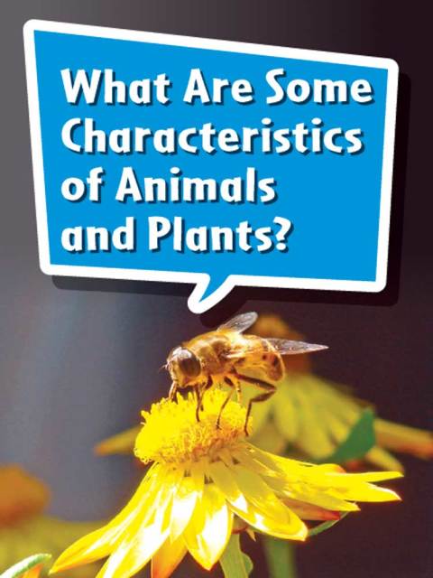 Cover image for book What Are Some Characteristics of Animals and Plants?