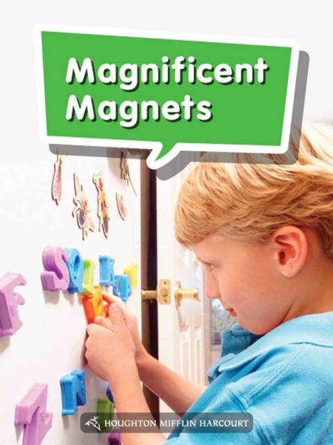 Cover image for book Magnificent Magnets