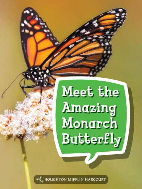 Cover image for book Meet the Amazing Monarch Butterfly