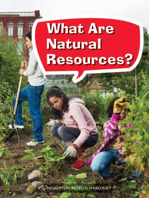 Cover image for book What Are Natural Resources?