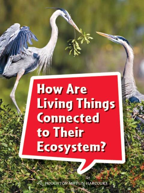 Cover image for book How Are Living Things Connected to Their Ecosystem?