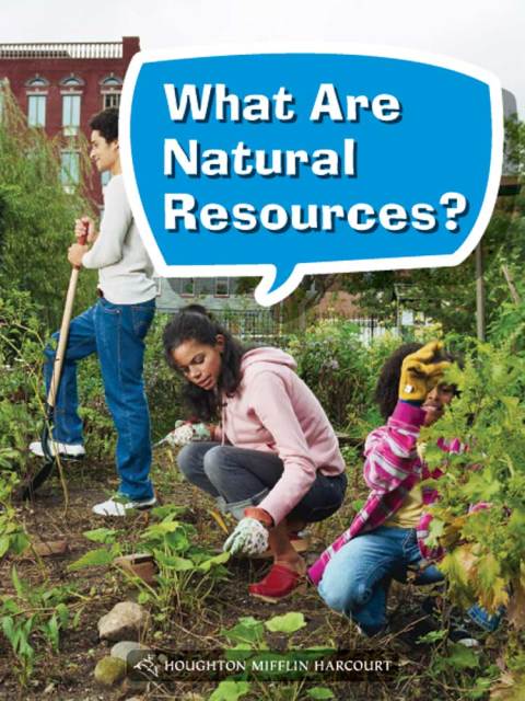 Cover image for book What Are Natural Resources?