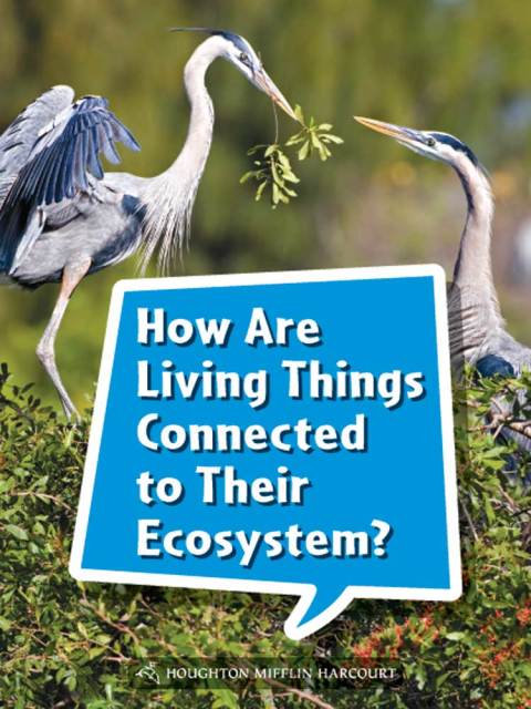 Cover image for book How Are Living Things Connected to Their Ecosystem?