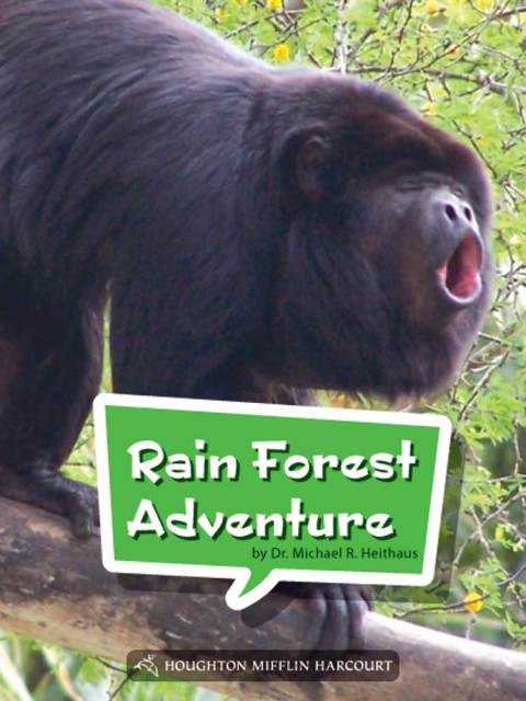 Cover image for book Rainforest Adventure
