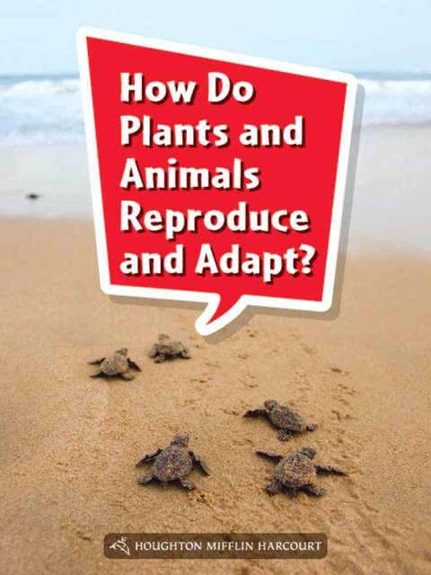 Cover image for book How Do Plants and Animals Reproduce and Adapt?