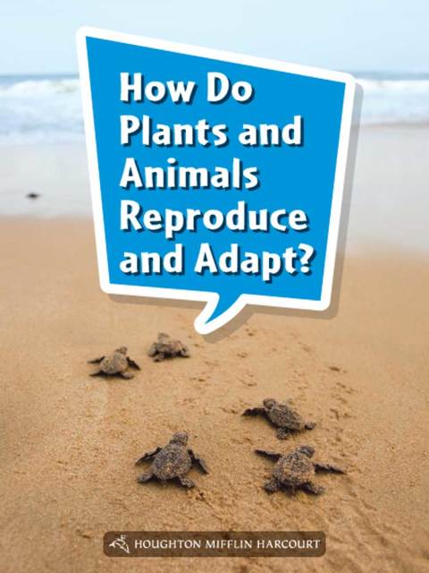 Cover image for book How Do Plants and Animals Reproduce and Adapt?
