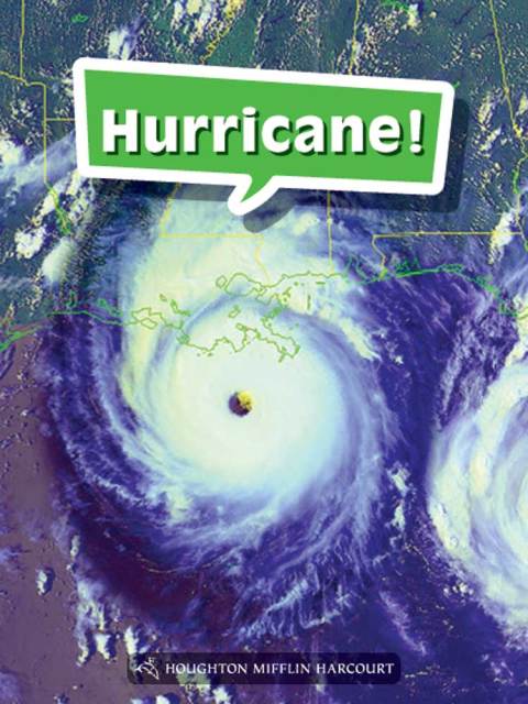 Cover image for book Hurricane!