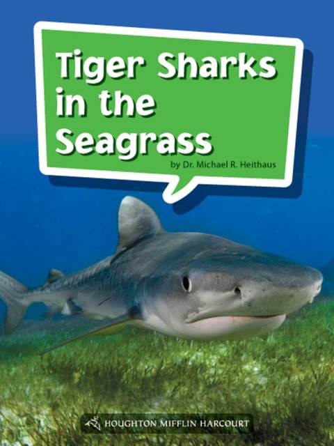 Cover image for book Tiger Sharks in the Seagrass