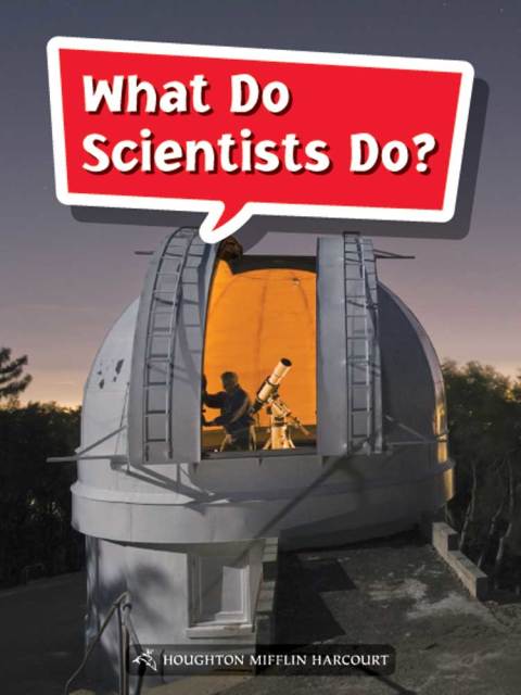Cover image for book What Do Scientists Do?