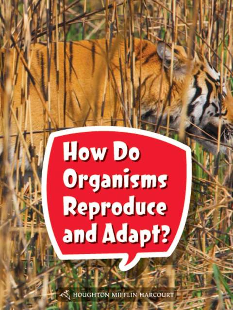 Cover image for book How Do Organisms Reproduce and Adapt?