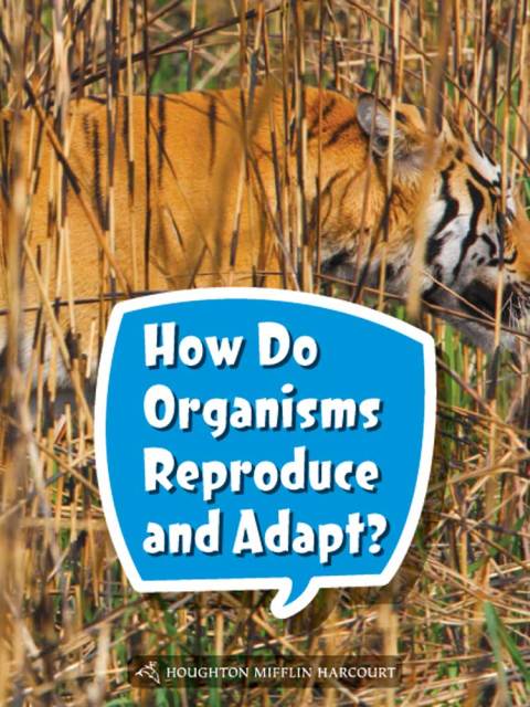 Cover image for book How Do Organisms Reproduce and Adapt?