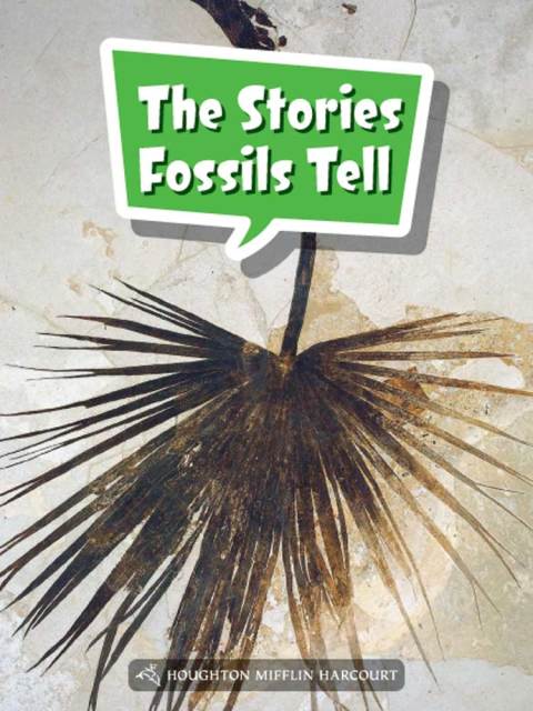 Cover image for book The Stories Fossils Tell