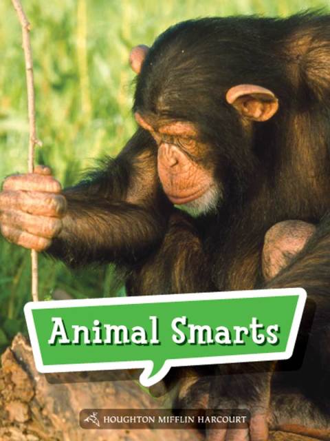 Cover image for book Animal Smarts