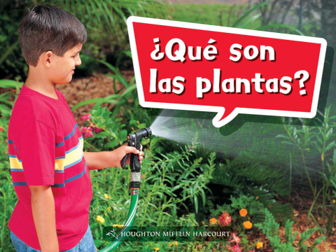 Cover image for book ¿Qué son las plantas?