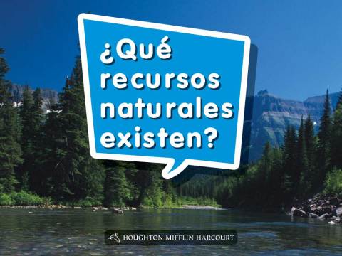 Cover image for book ¿Qué recursos naturales existen?