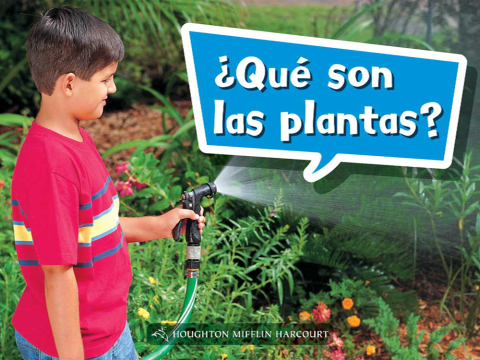Cover image for book ¿Qué son las plantas?