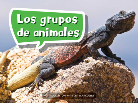 Cover image for book Los grupos de animales