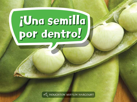 Cover image for book ¡Una semilla por dentro!