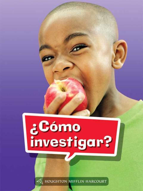 Cover image for book ¿Cómo hacer una investigación?
