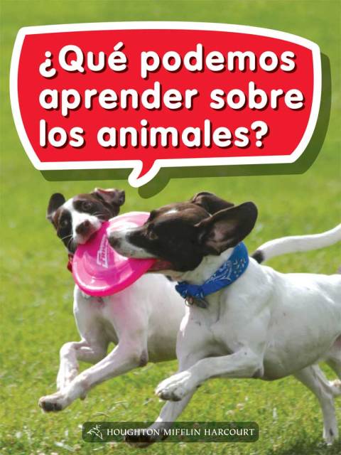 Cover image for book ¿Qué podemos aprender sobre los animales?