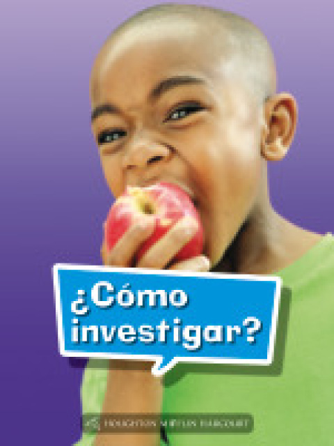 Cover image for book ¿Cómo hacer una investigación?