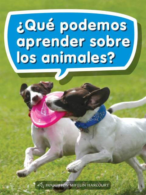 Cover image for book ¿Qué podemos aprender sobre los animales?