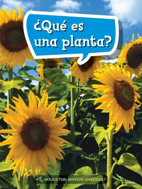 Cover image for book ¿Qué es una planta?