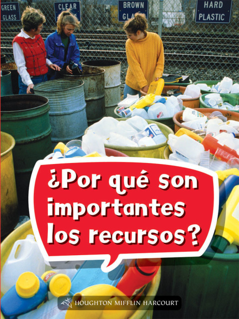 Cover image for book ¿Por qué son importantes los recursos?